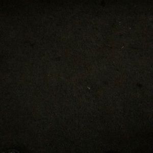 Meet your Posher, Jerry